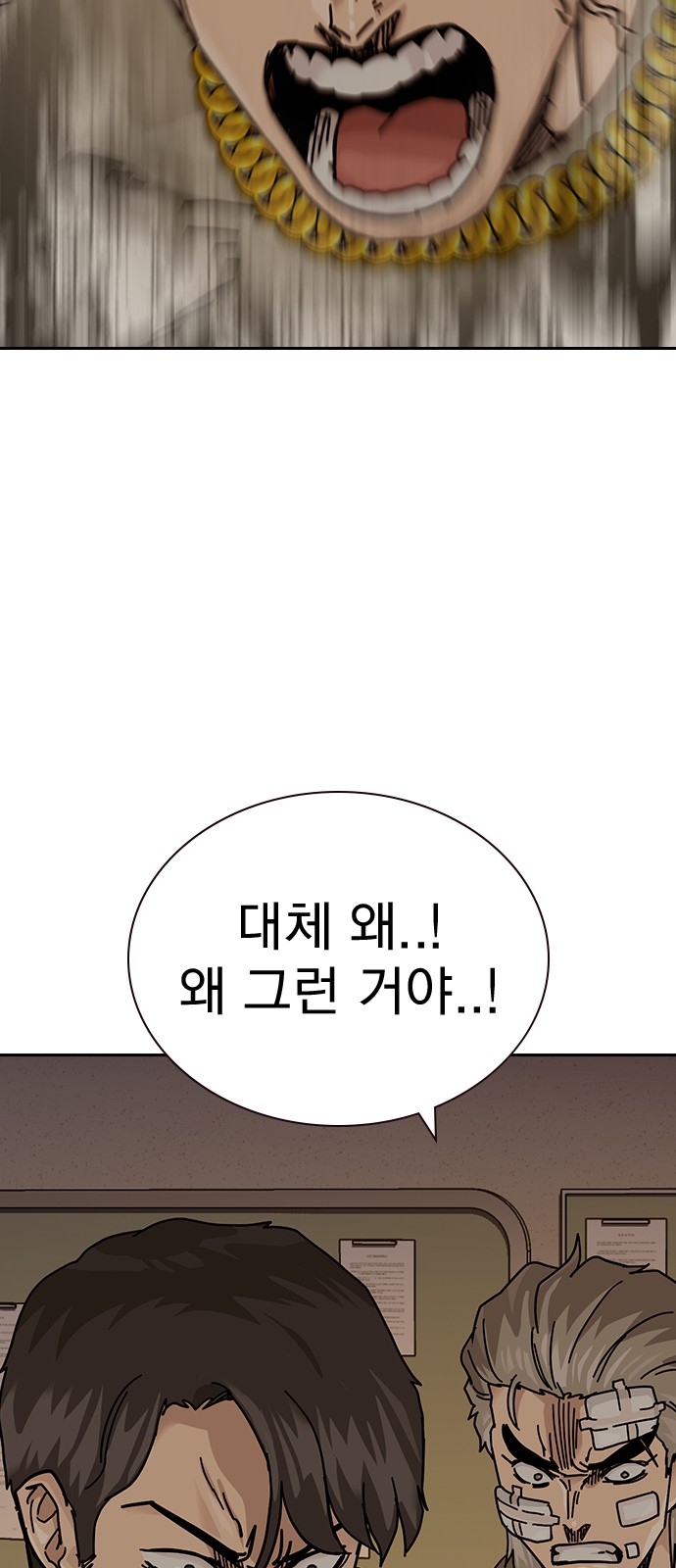 117 페이지