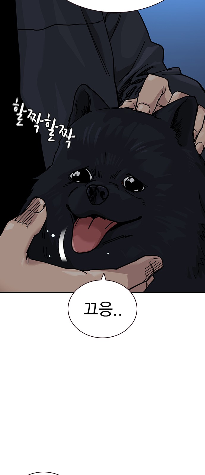 116 페이지