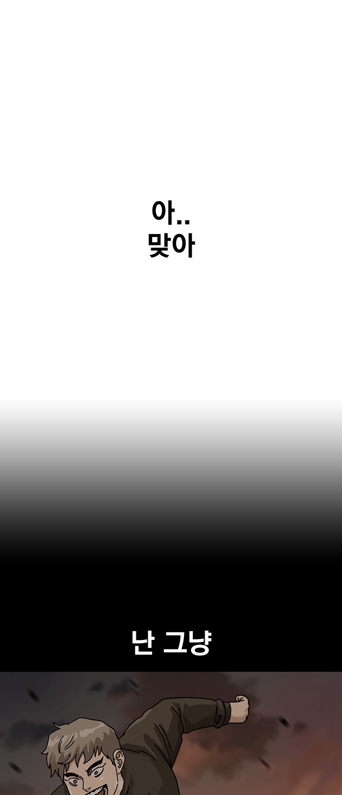 113 페이지