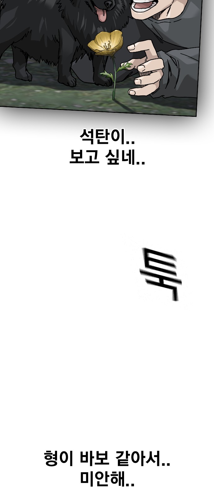 111 페이지
