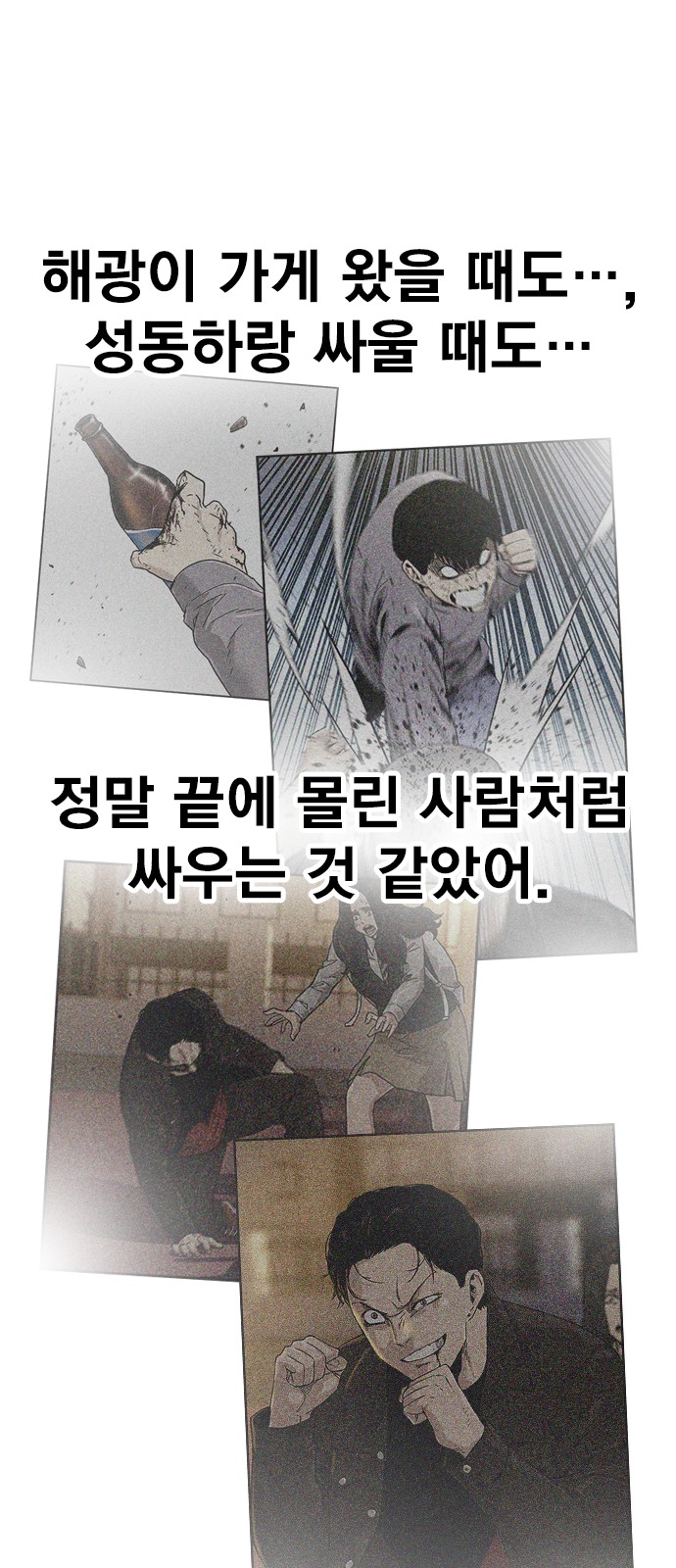 52 페이지