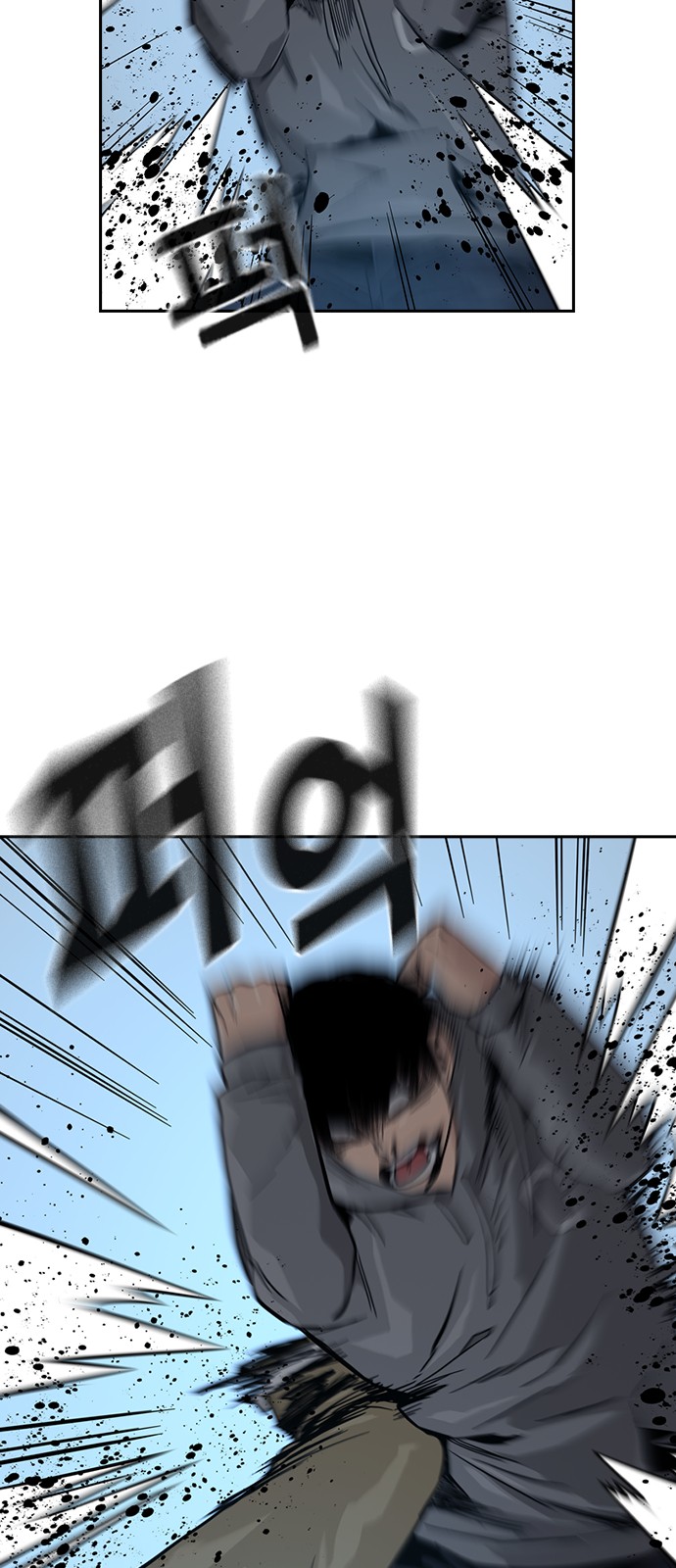 33 페이지