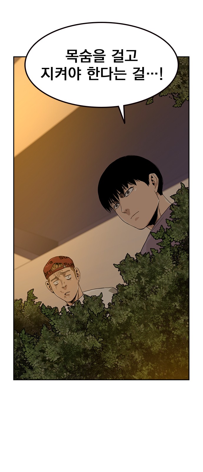 54 페이지