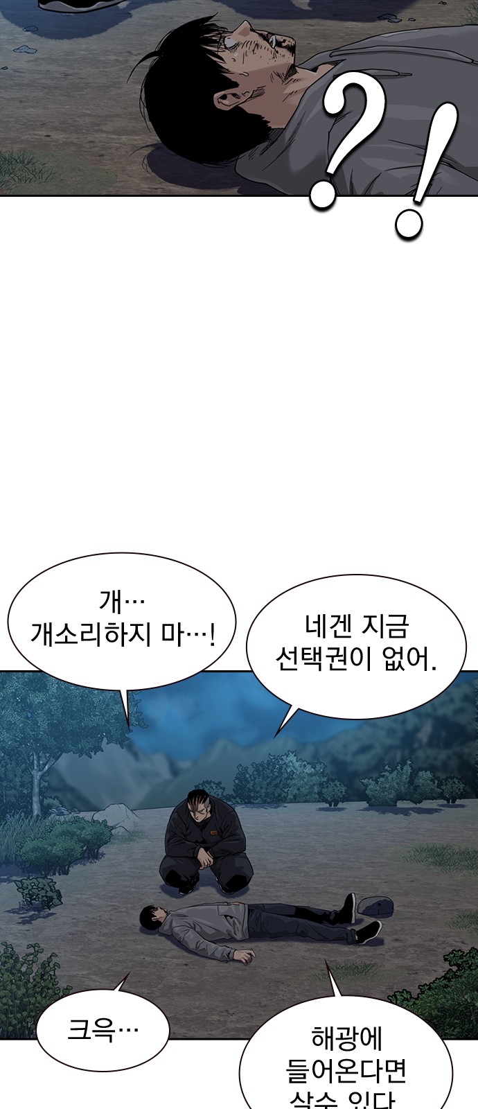 66 페이지