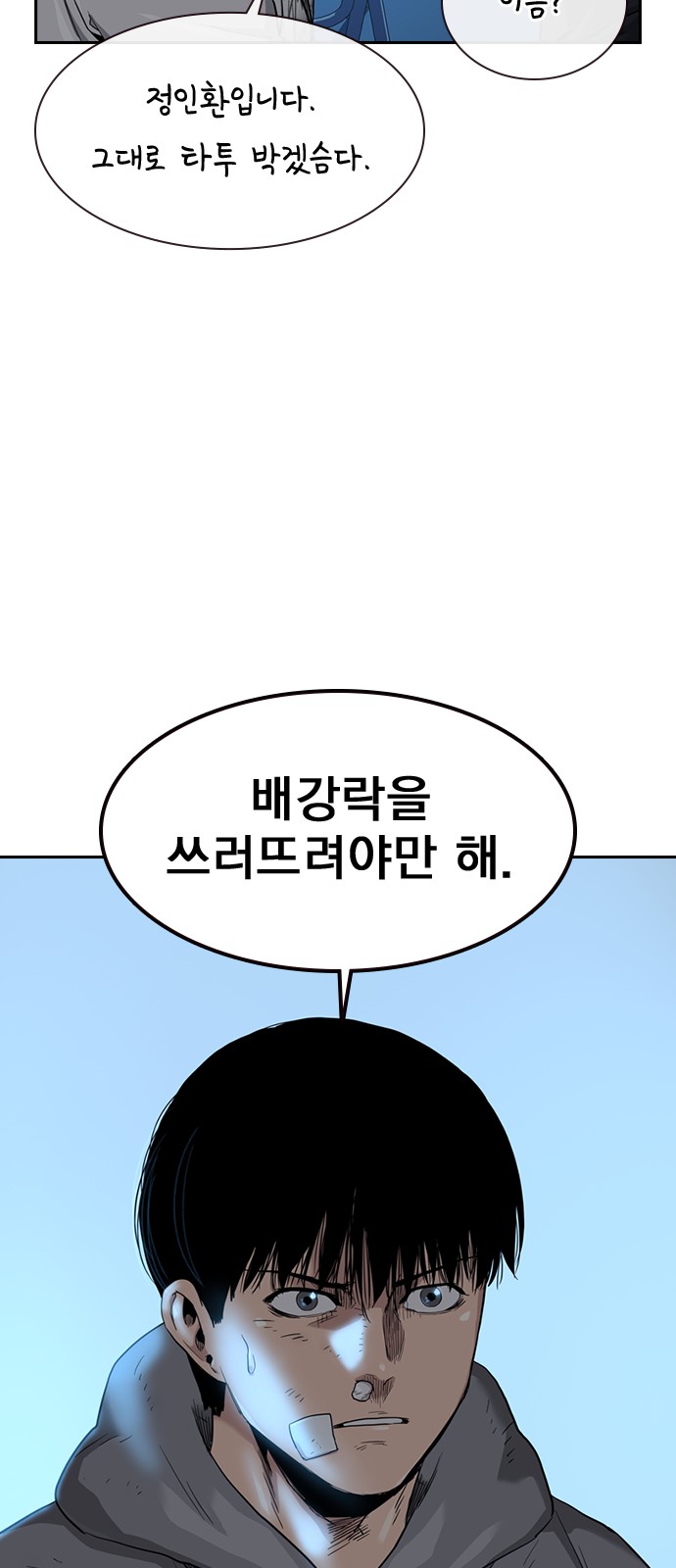 43 페이지