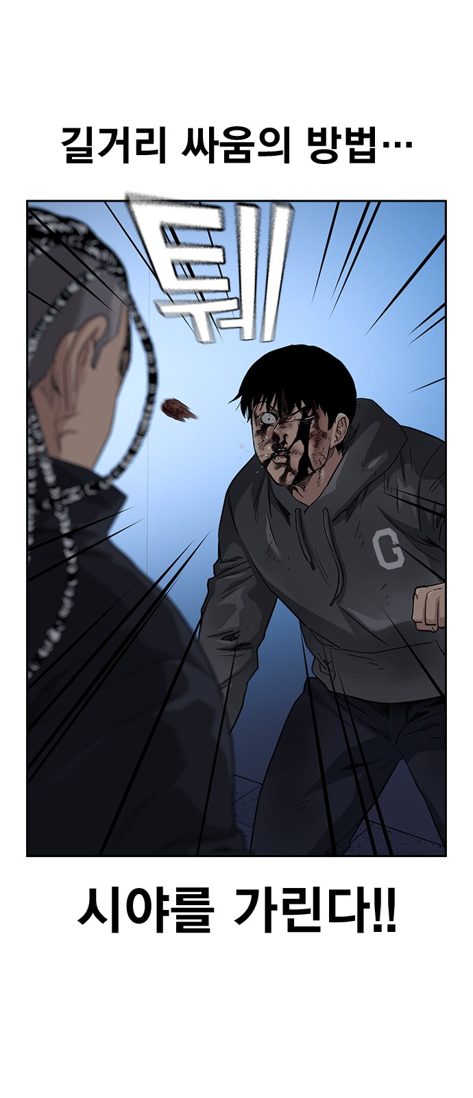 43 페이지