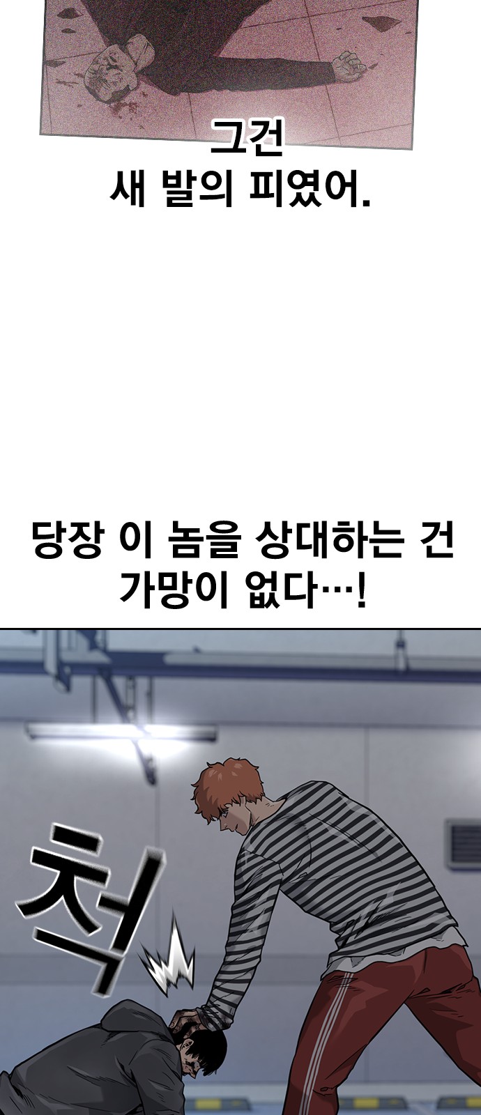 43 페이지