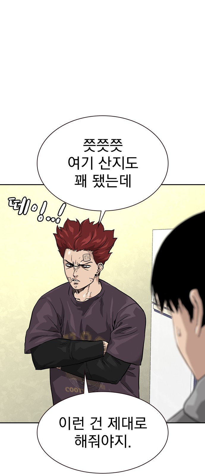 45 페이지