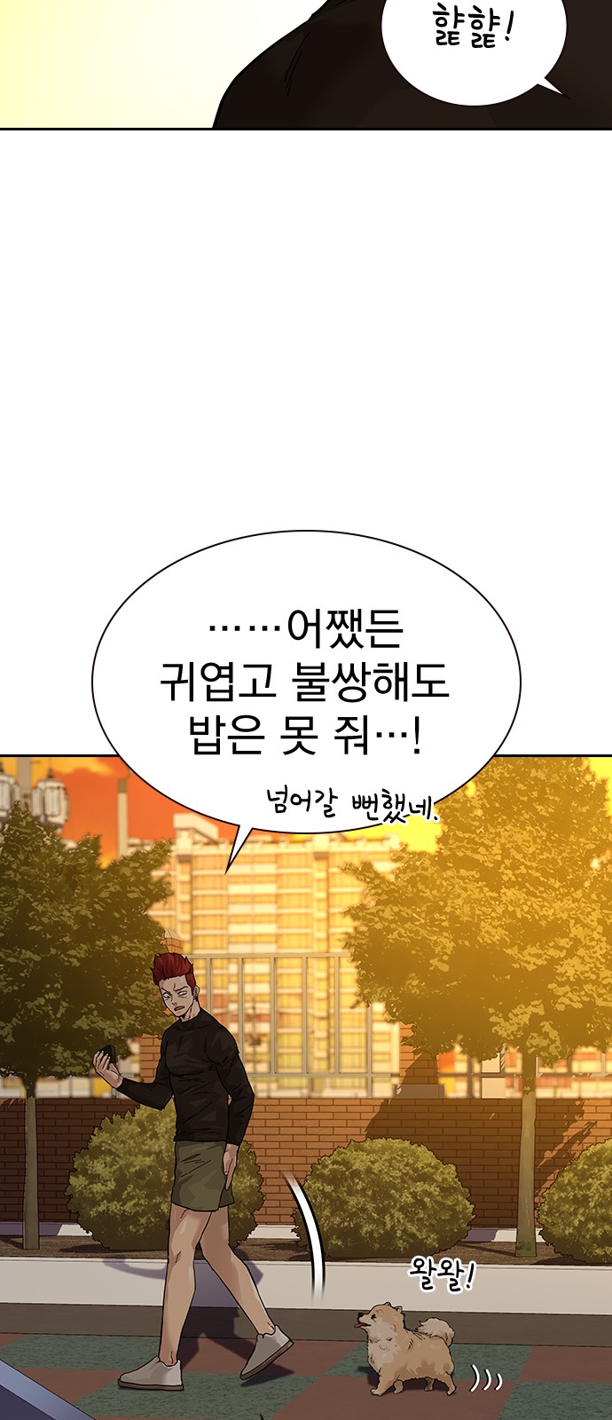 17 페이지