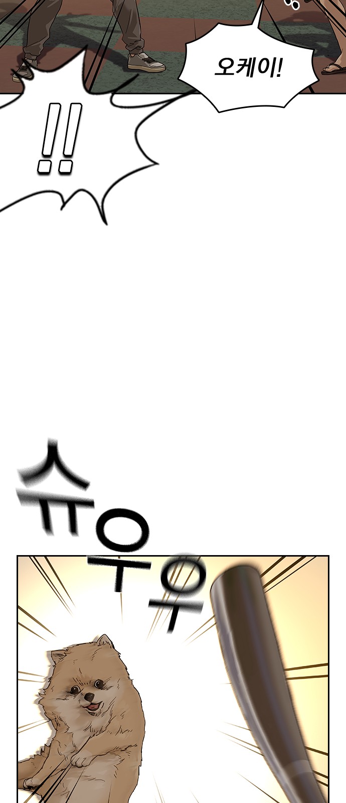 27 페이지