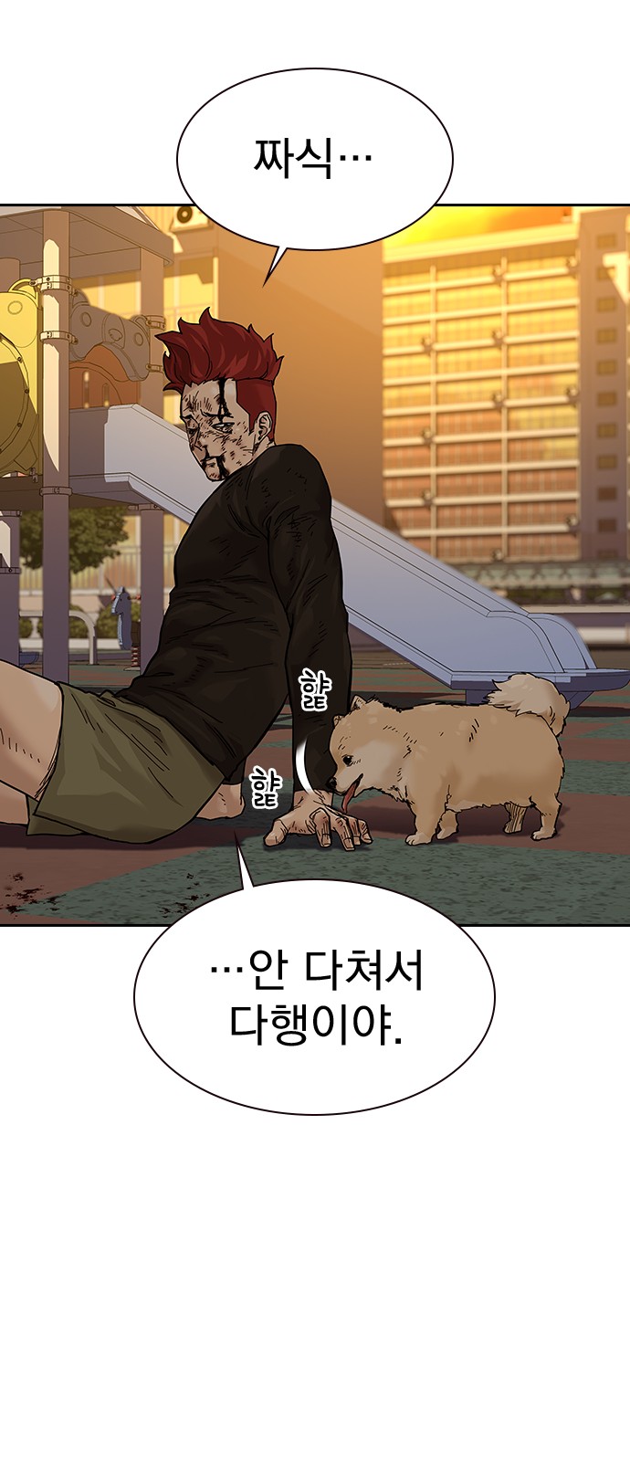 35 페이지