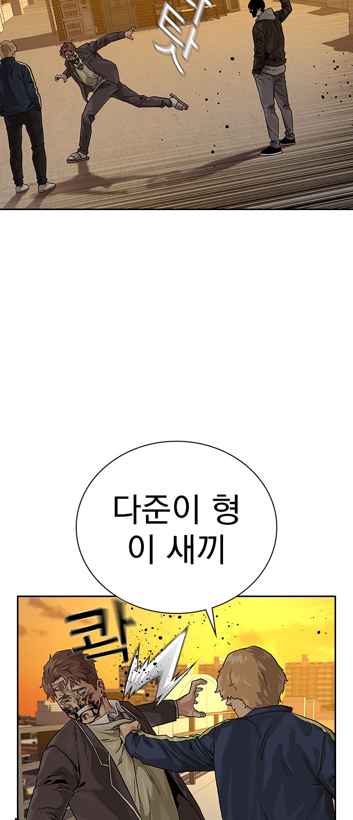 146 페이지