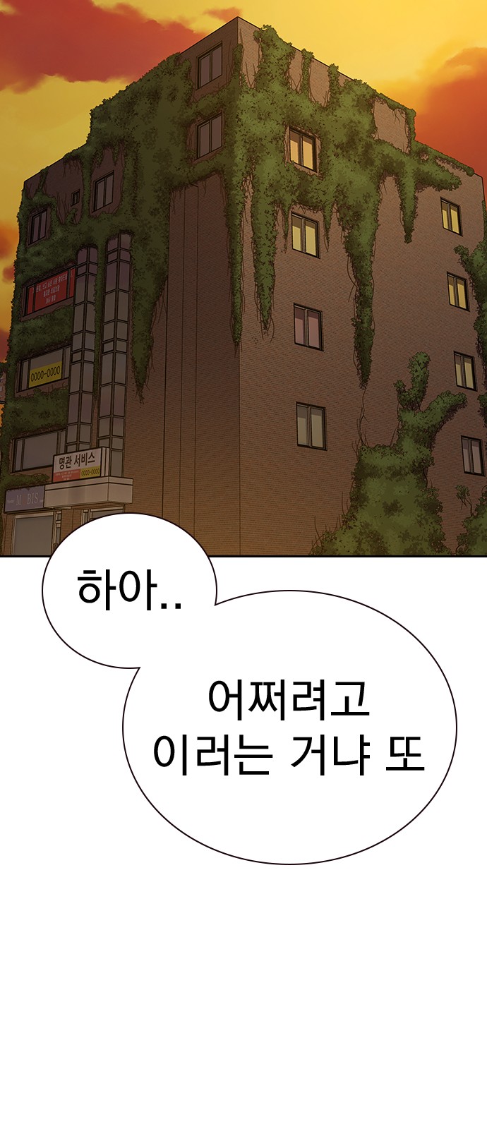 48 페이지