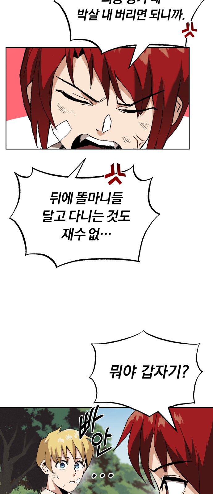 48 페이지