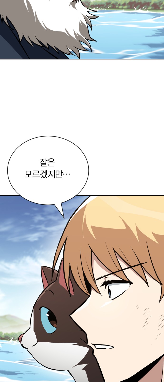 71 페이지