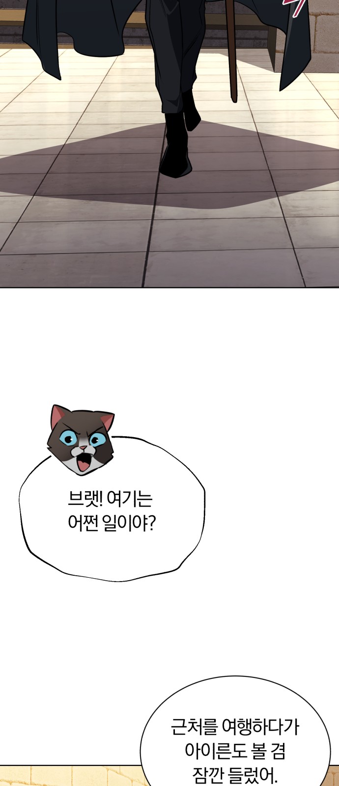 14 페이지