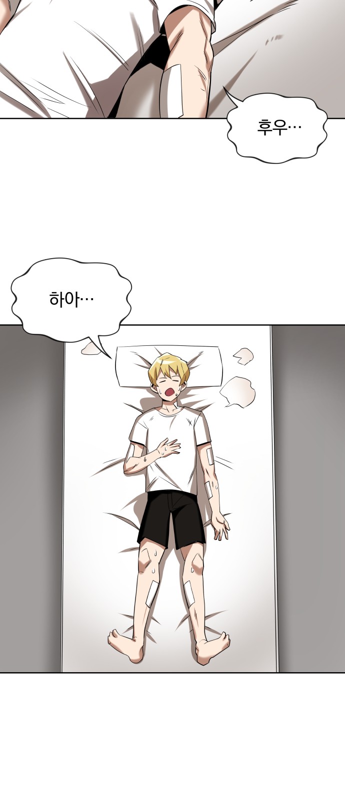 66 페이지