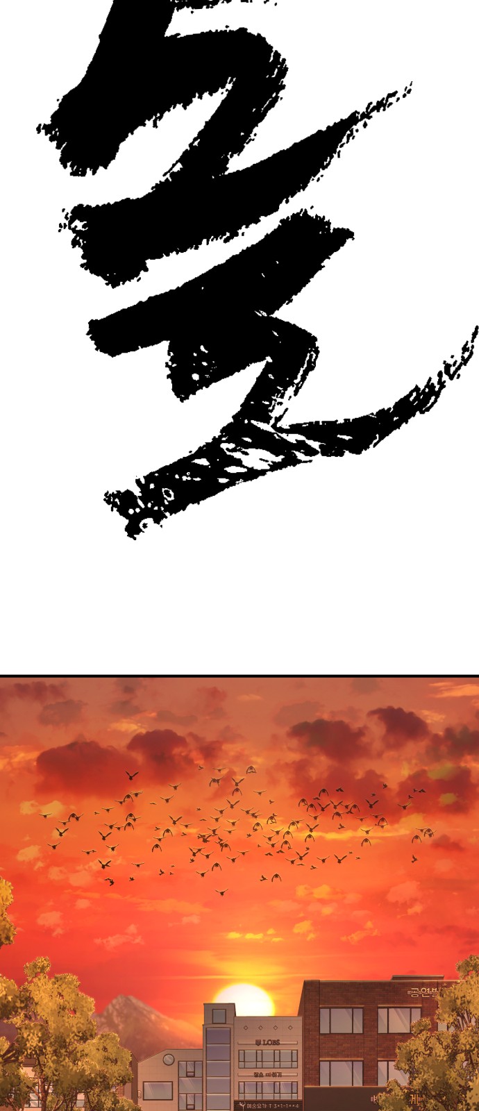 146 페이지