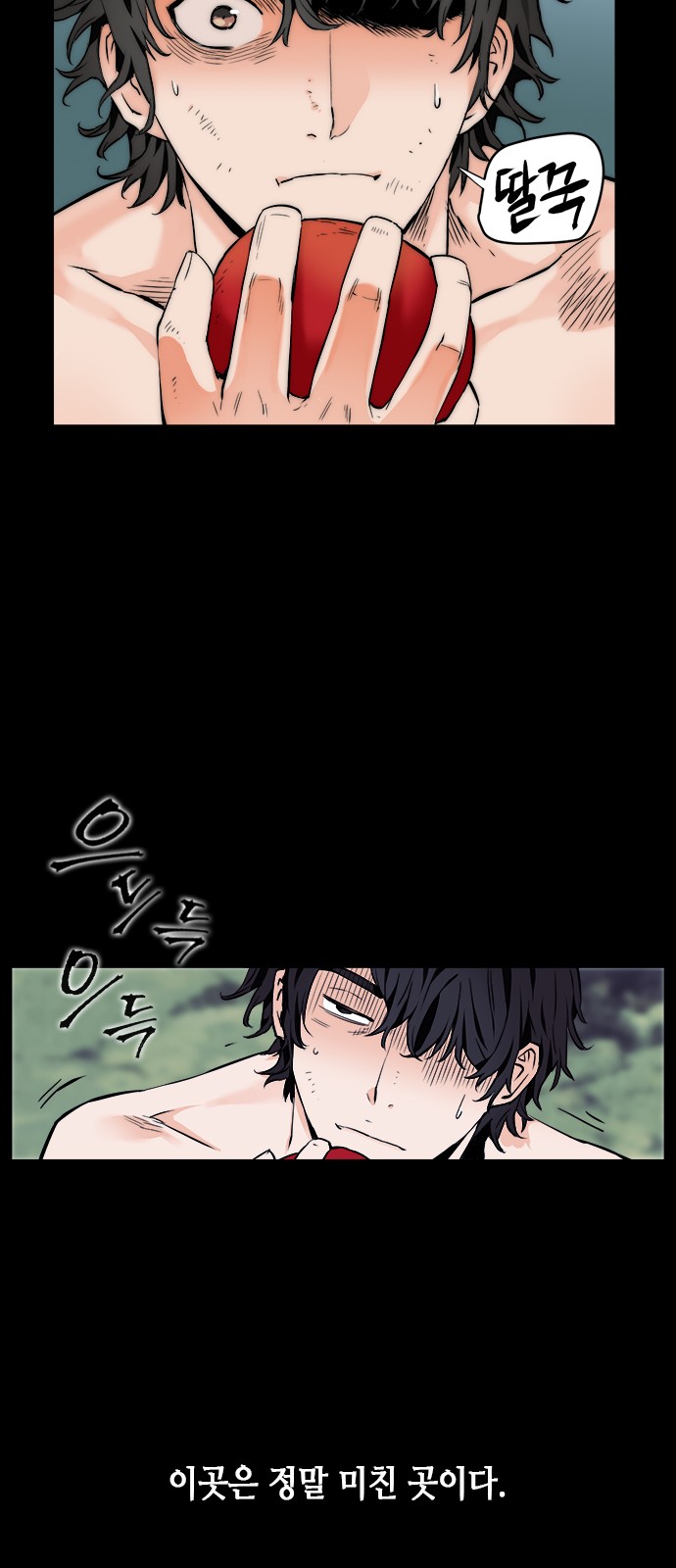 29 페이지