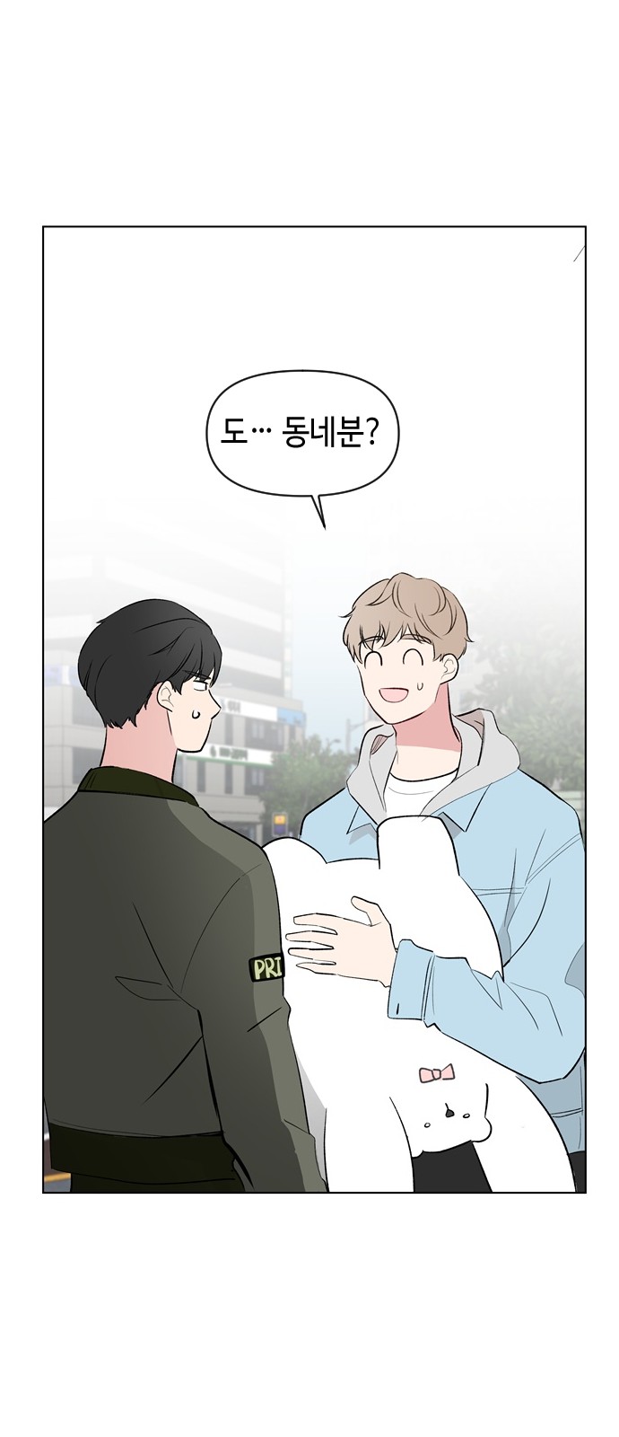 20 페이지