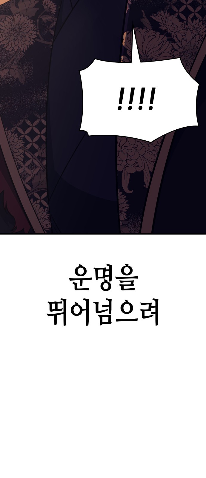 146 페이지