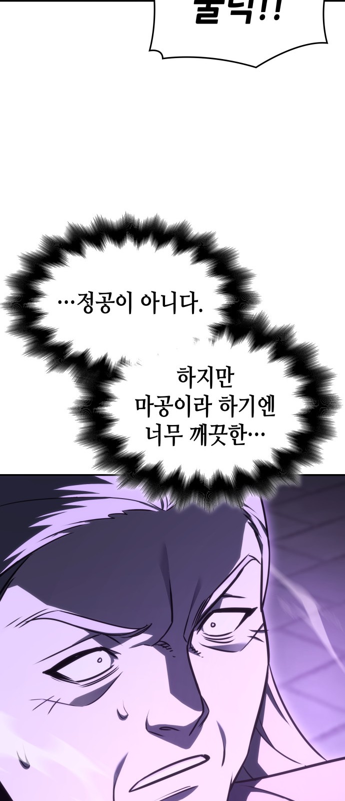 113 페이지