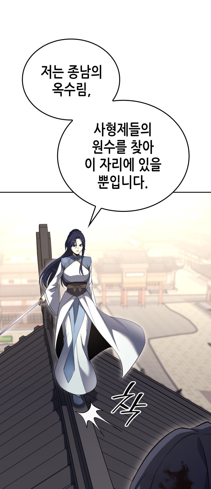 113 페이지
