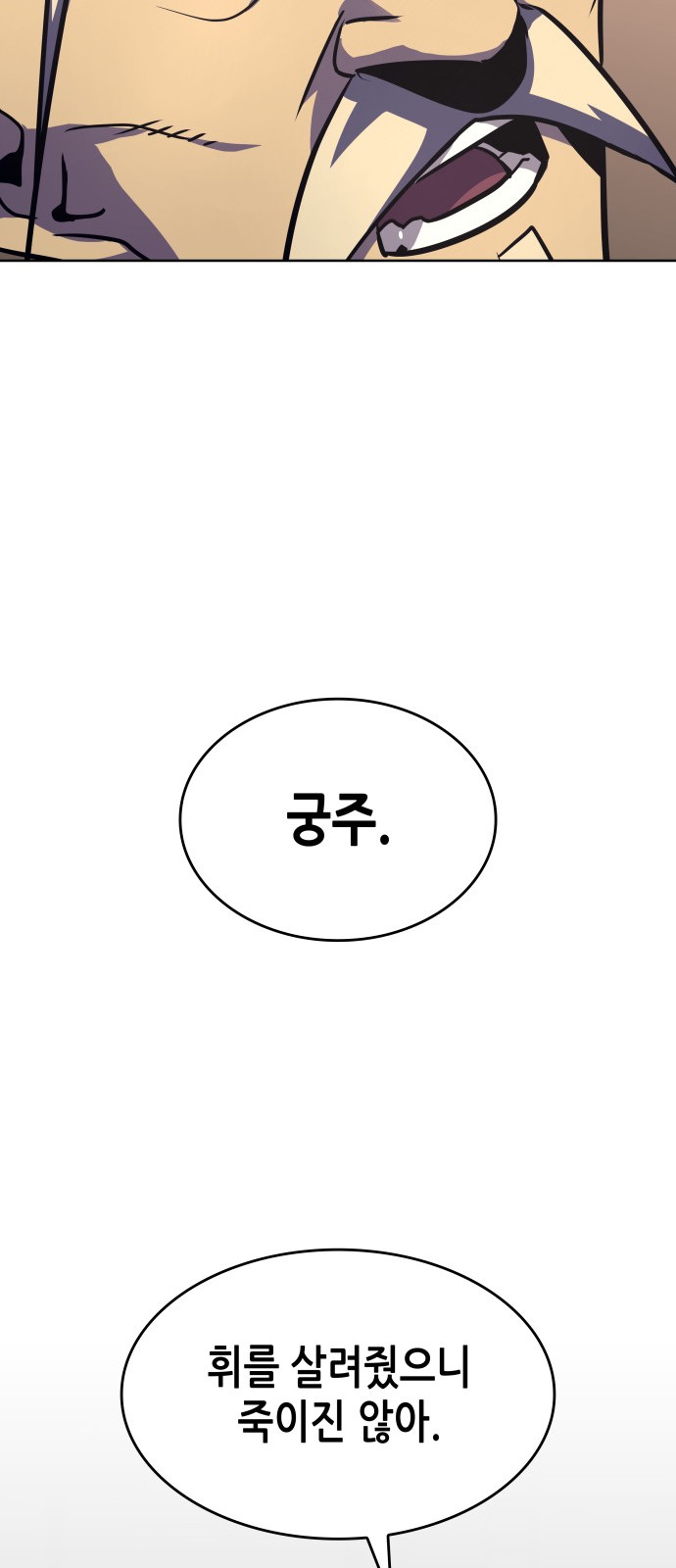 110 페이지