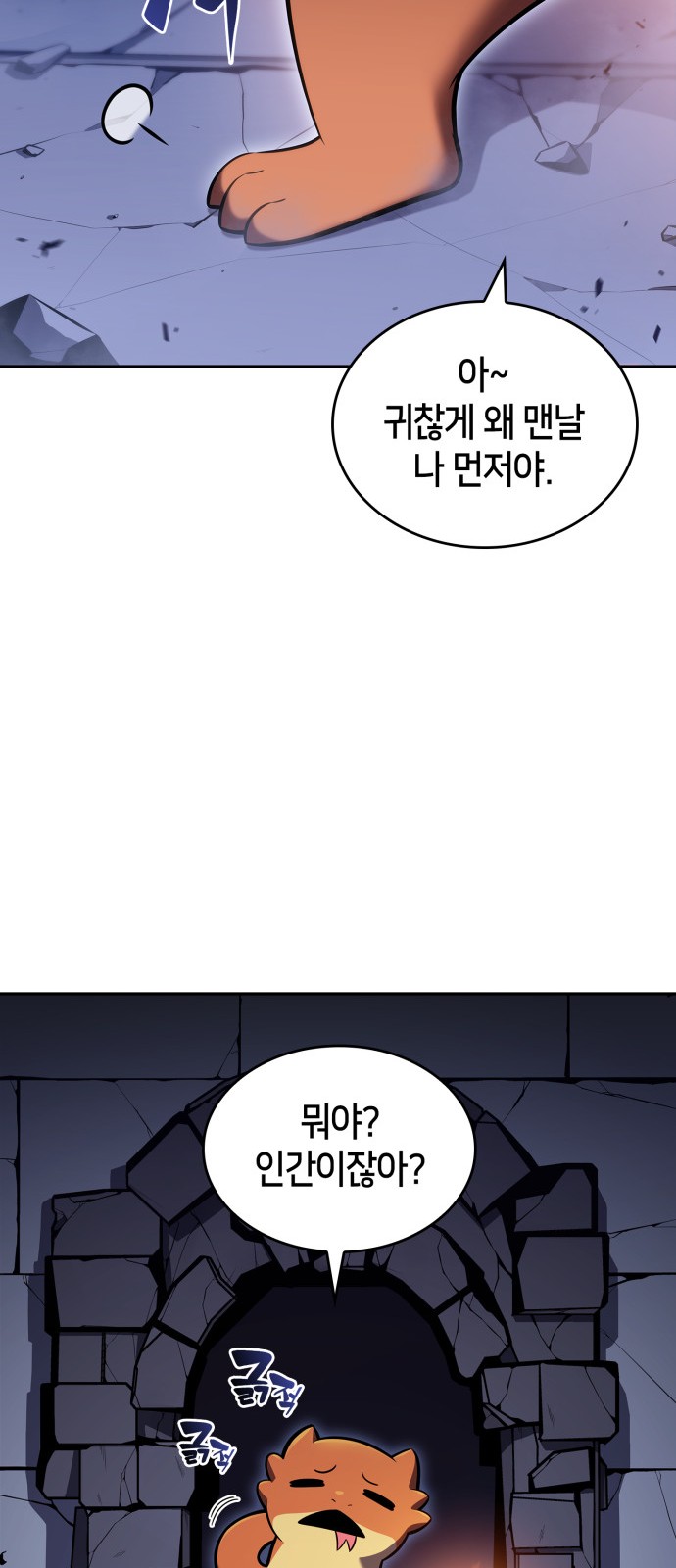 74 페이지