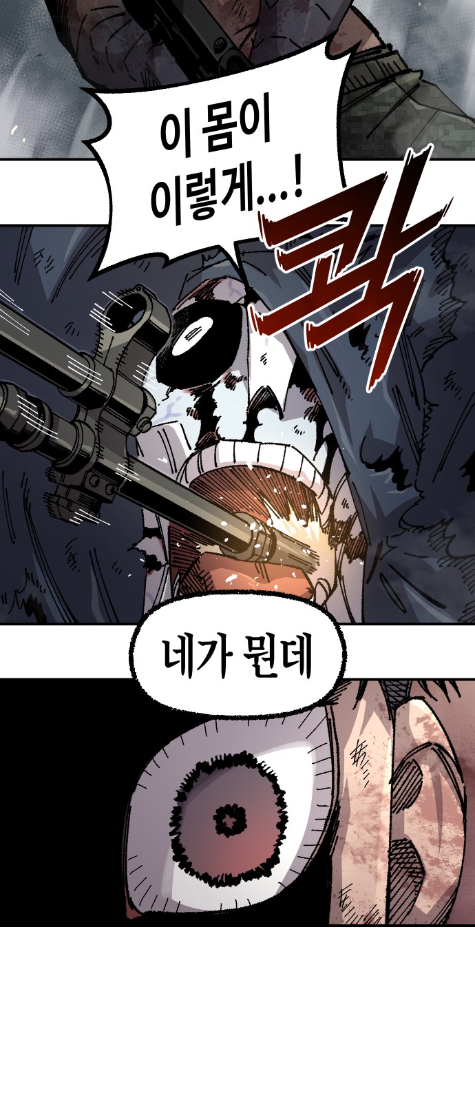 66 페이지