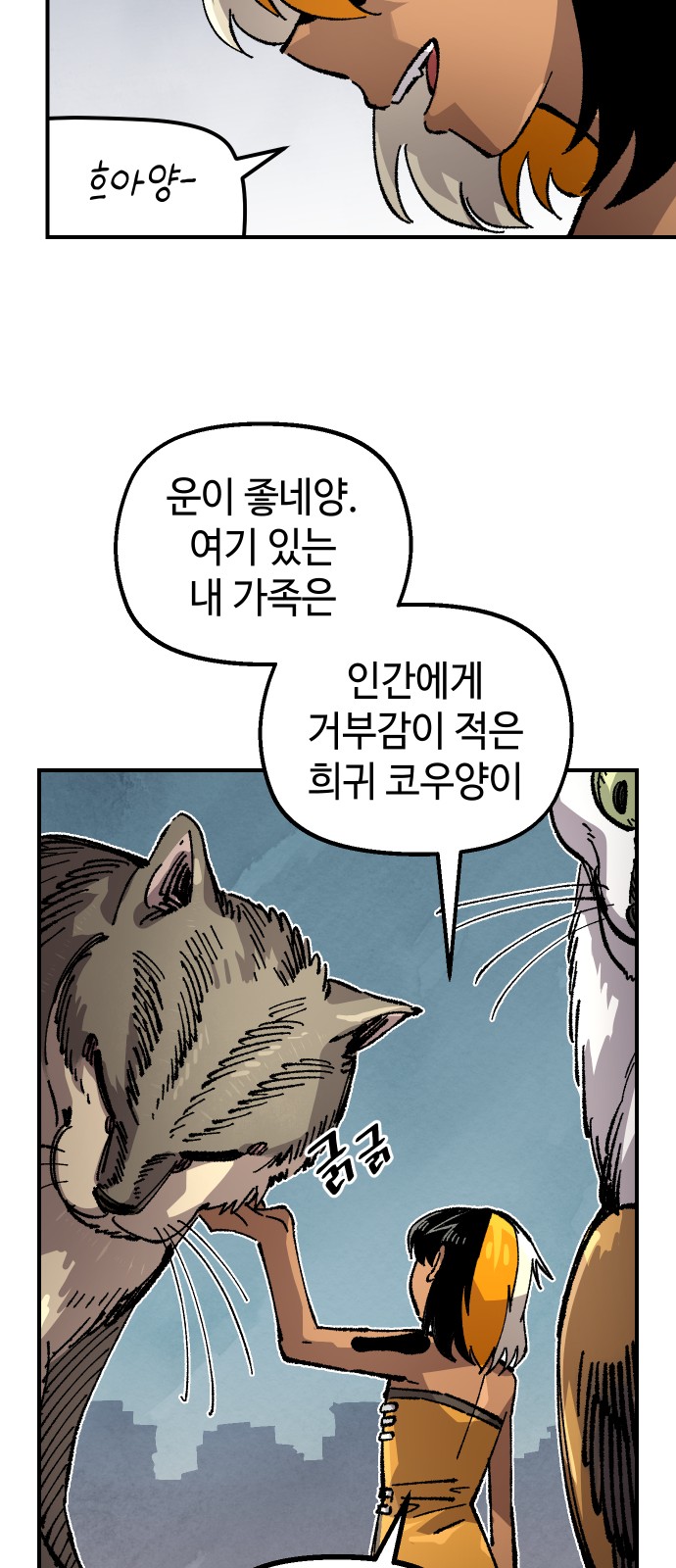 70 페이지