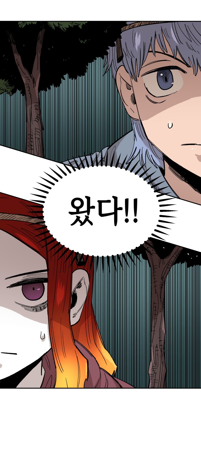 48 페이지