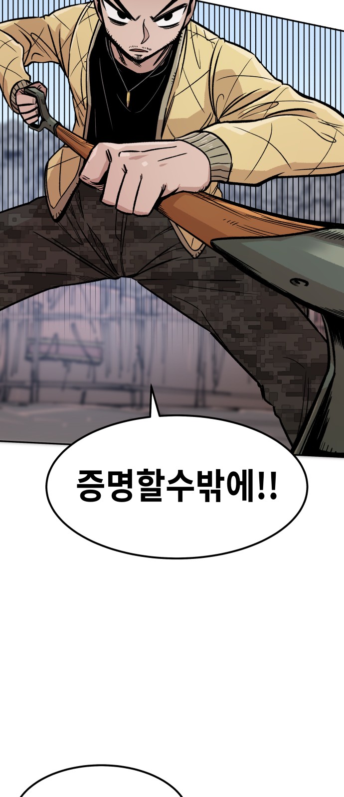 31 페이지