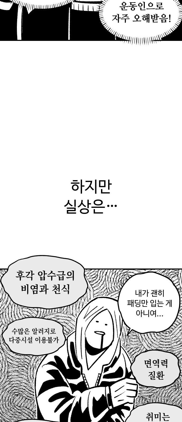 43 페이지