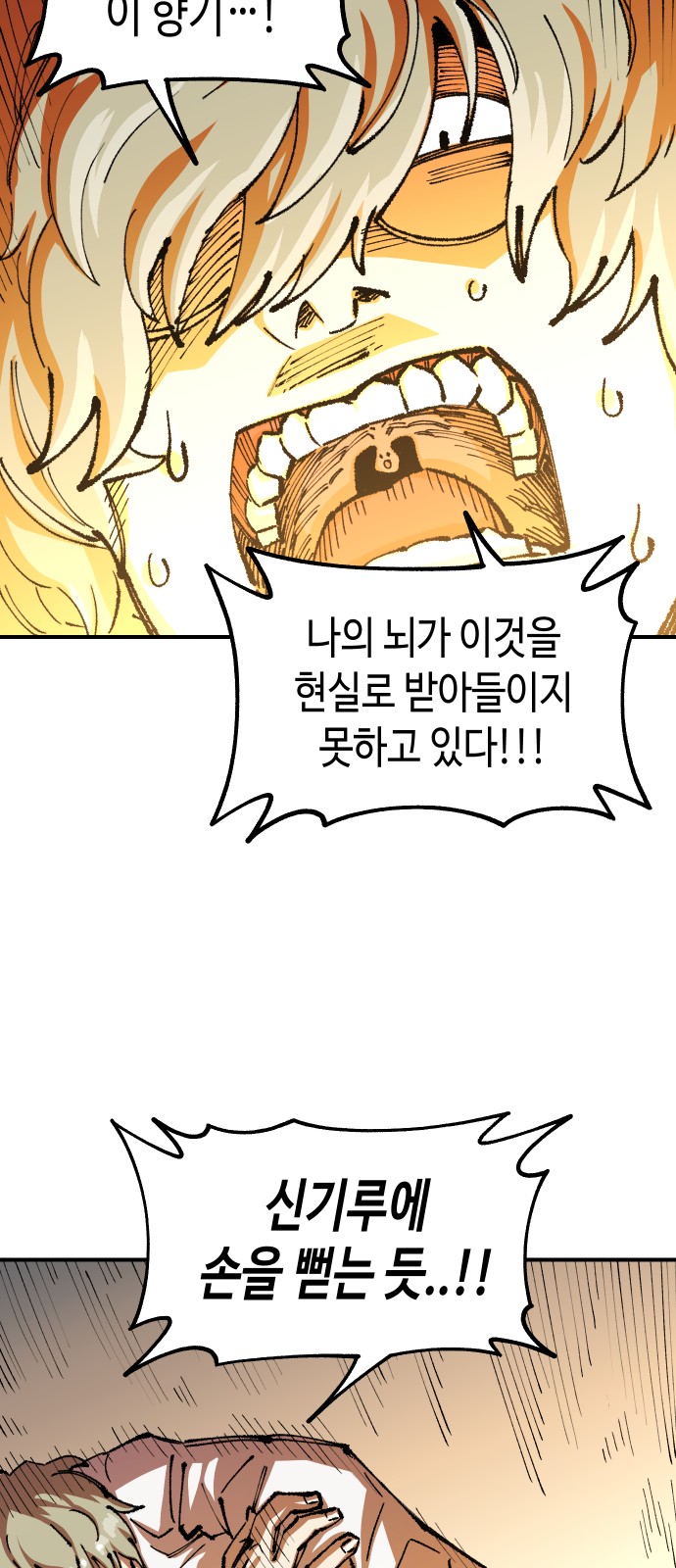 74 페이지