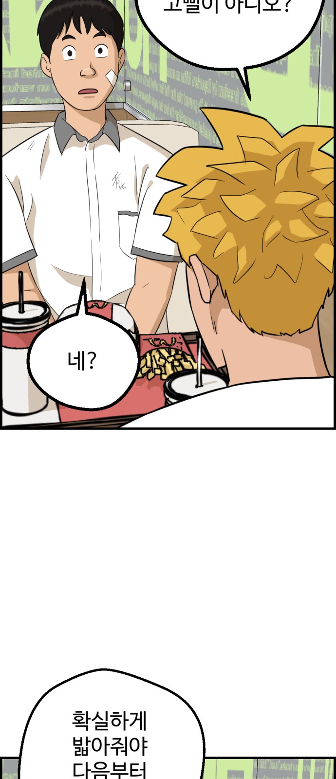 66 페이지