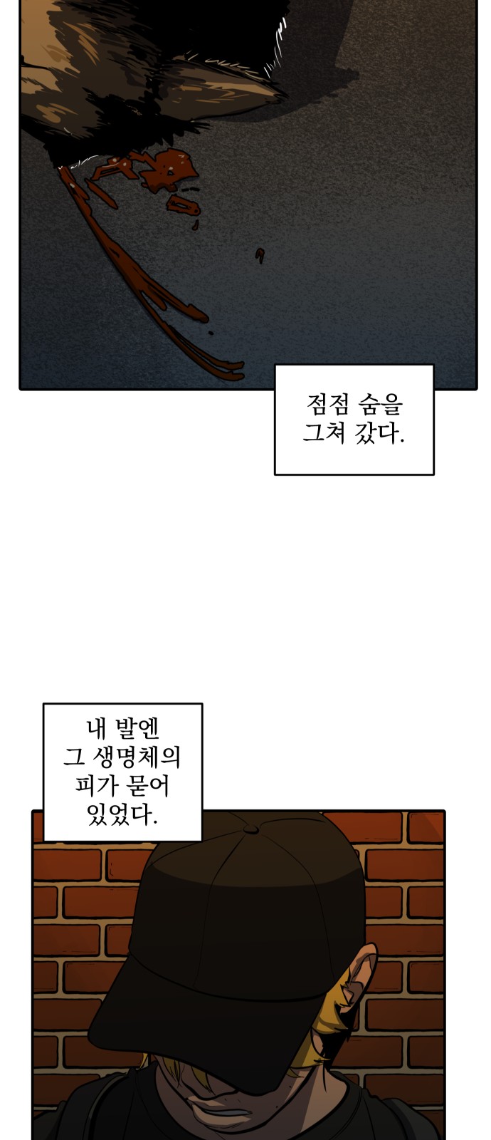 43 페이지