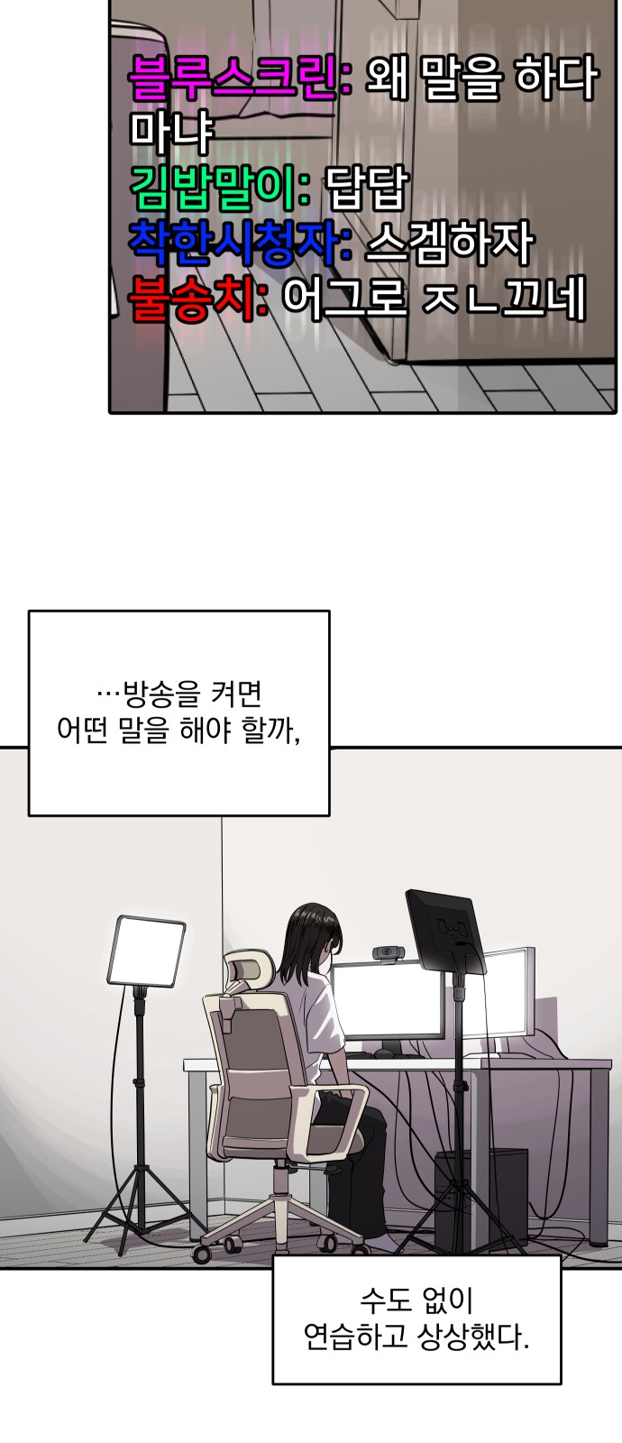 48 페이지