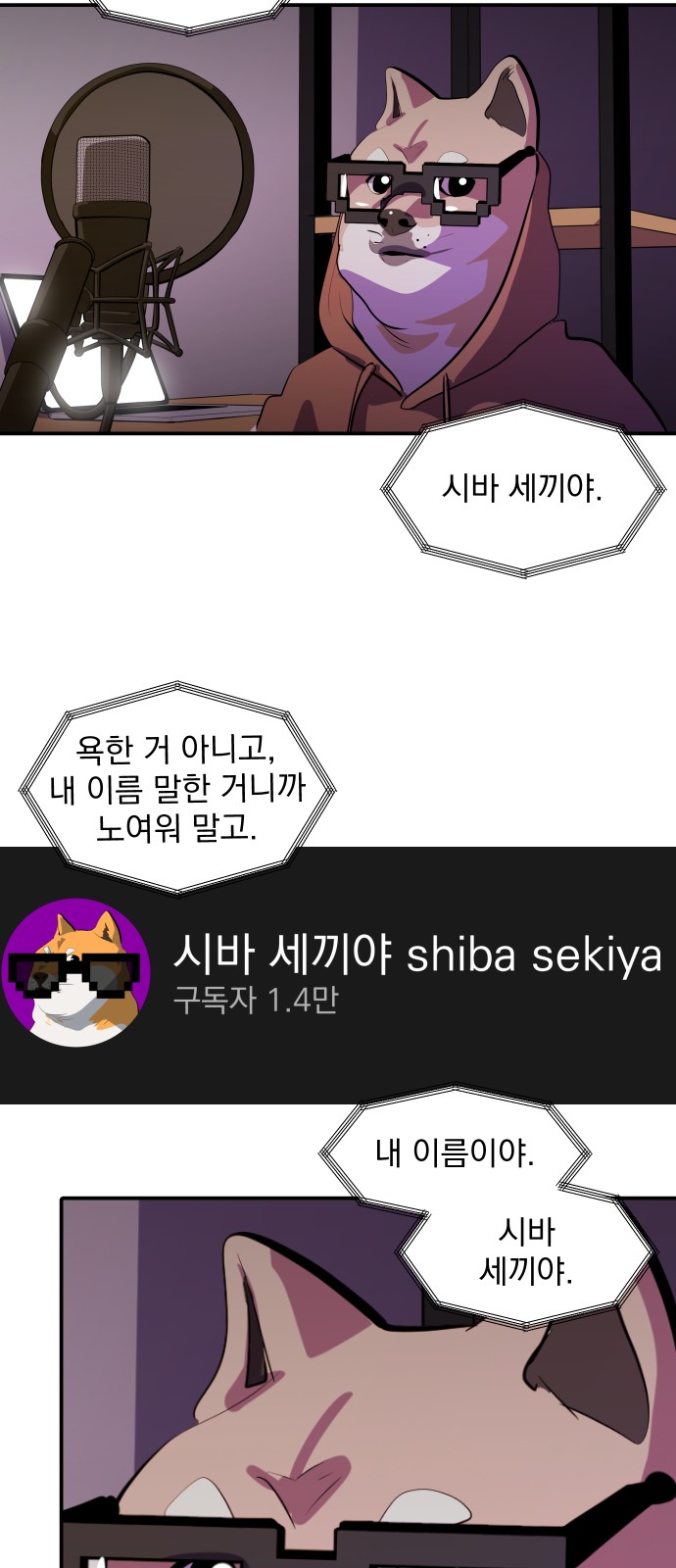 12 페이지