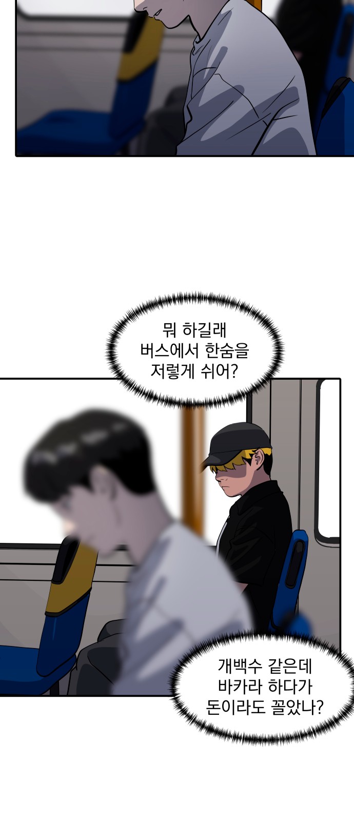 66 페이지