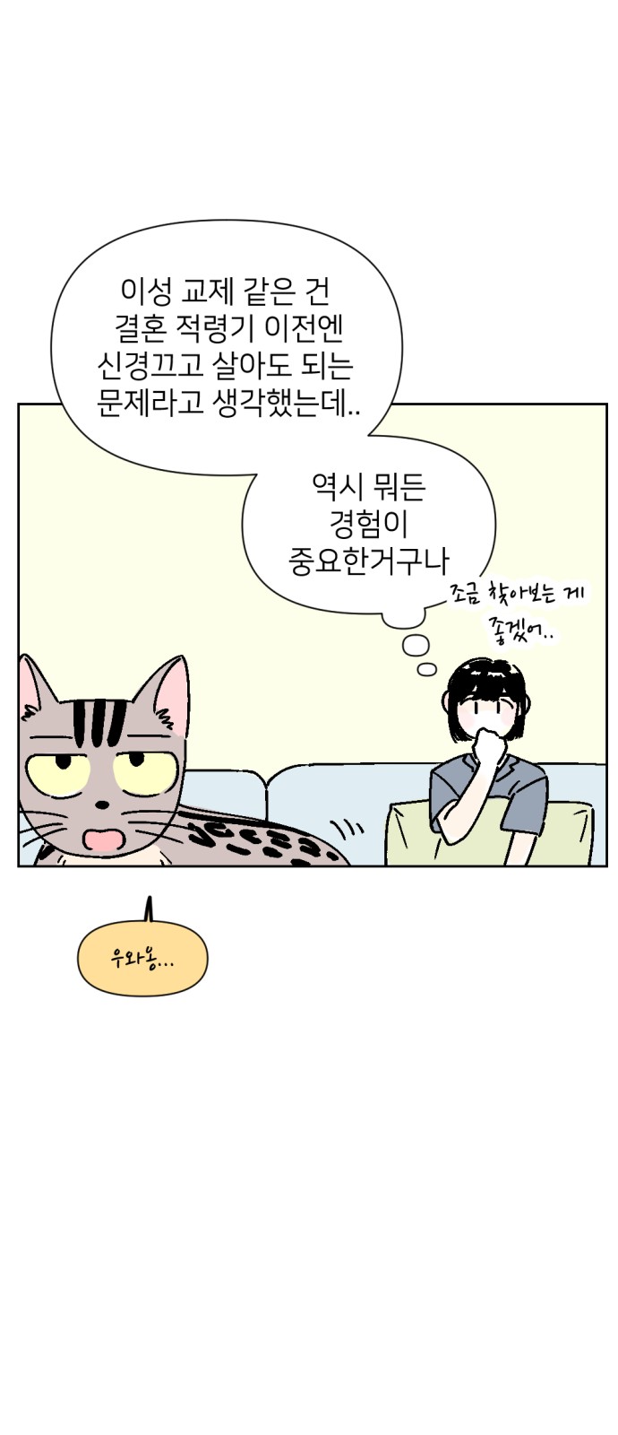 15 페이지