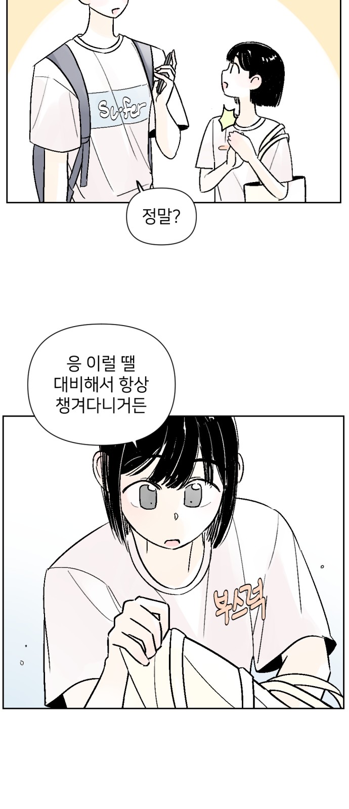 13 페이지