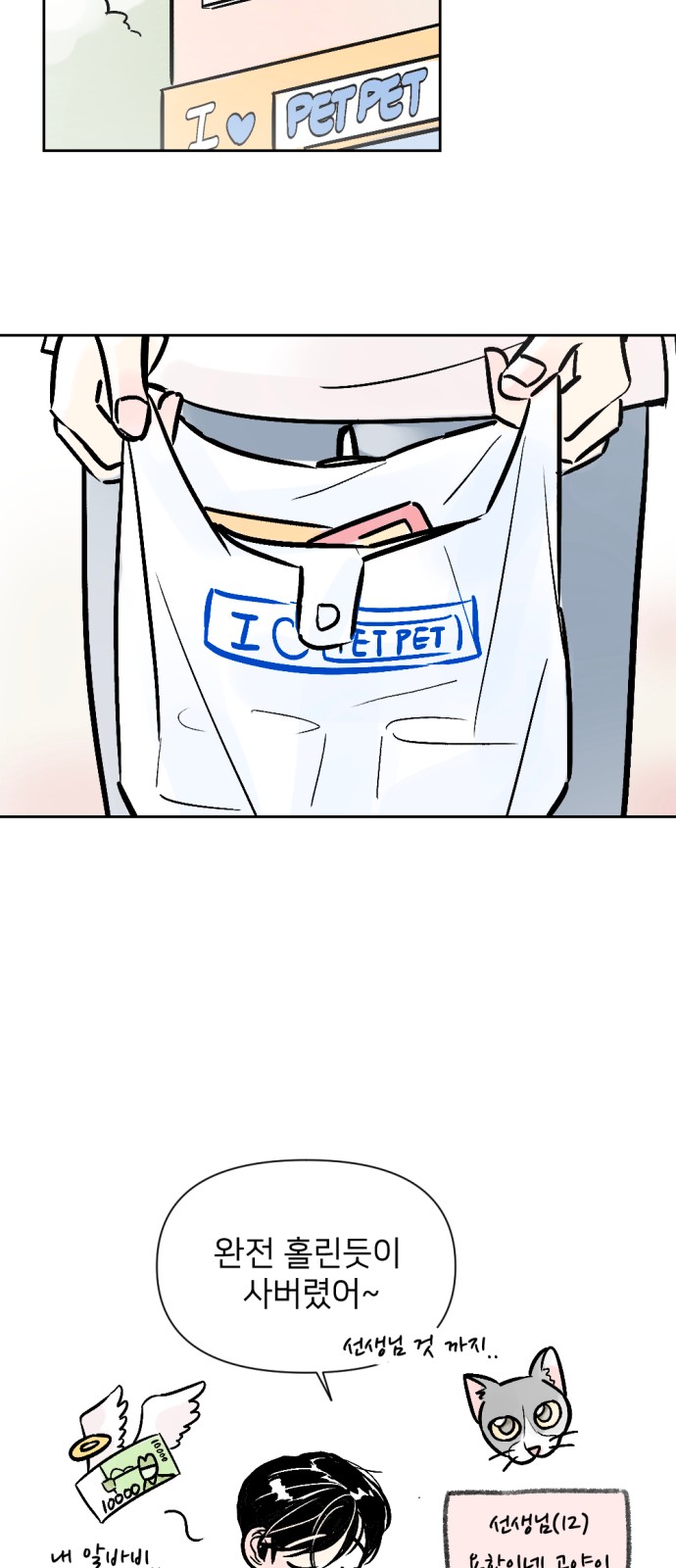 43 페이지