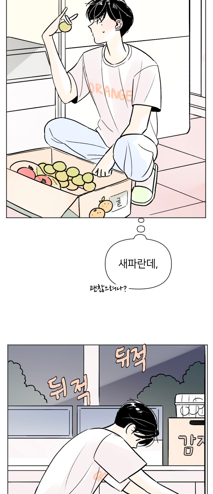 19 페이지
