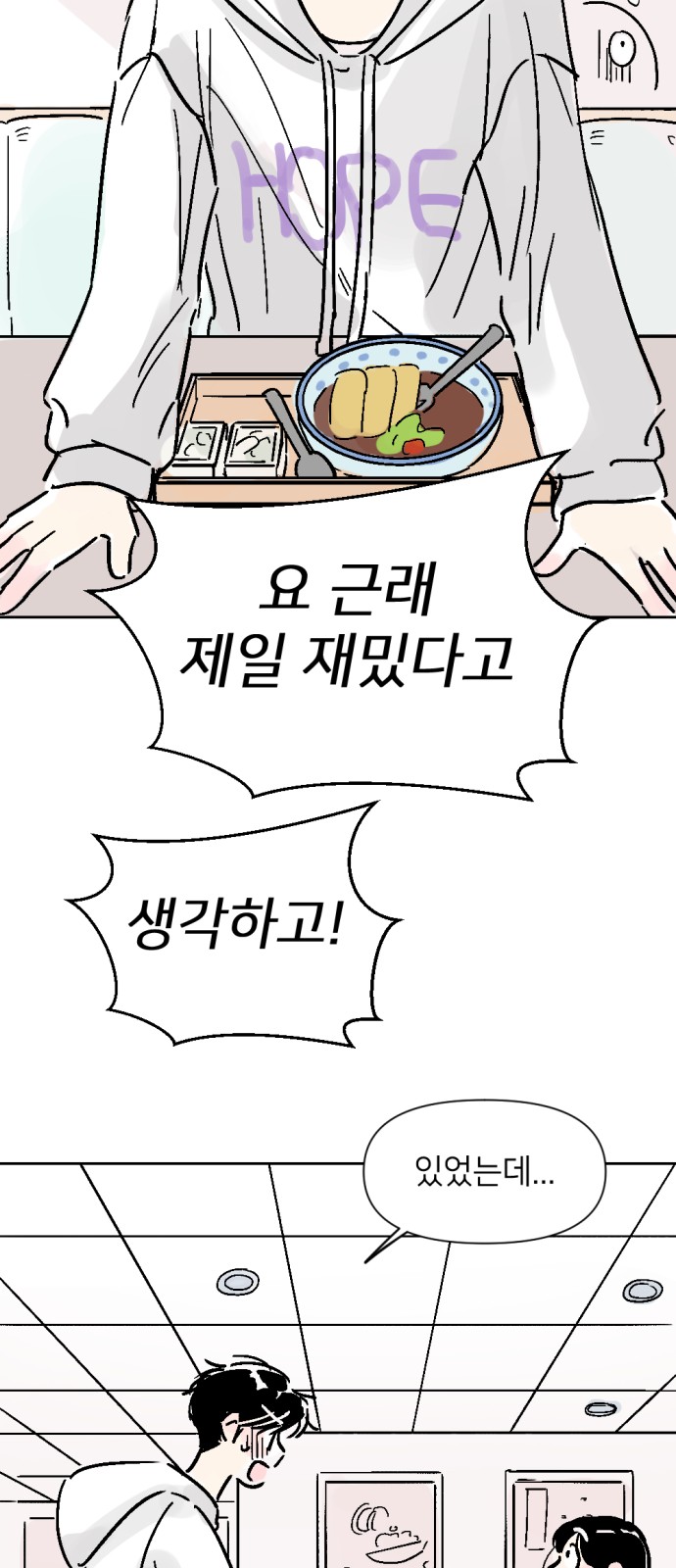 43 페이지
