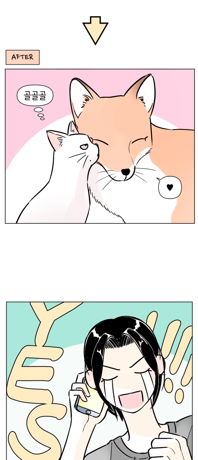 15 페이지
