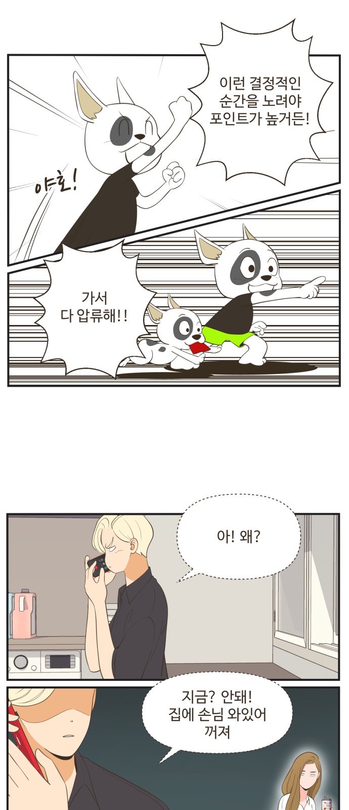 14 페이지