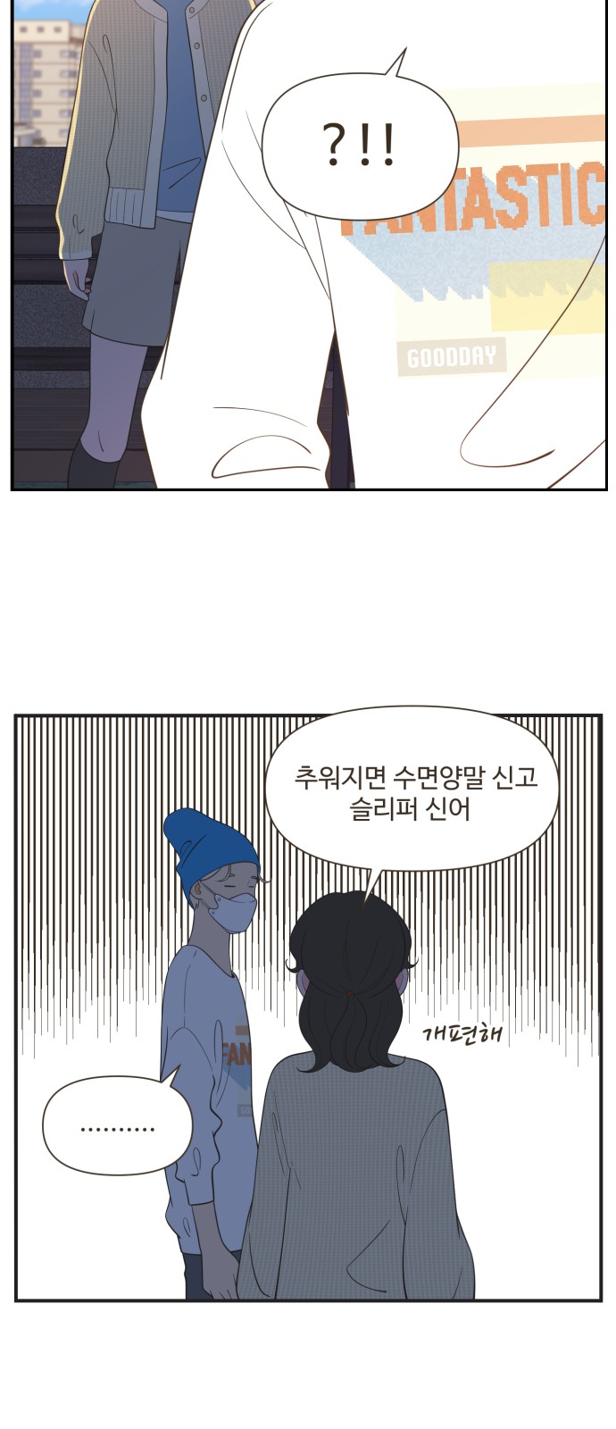 13 페이지