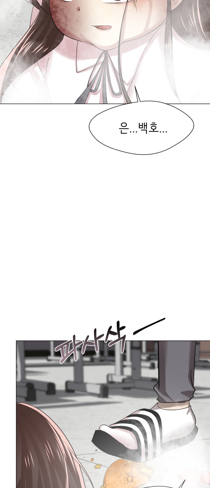 202 페이지