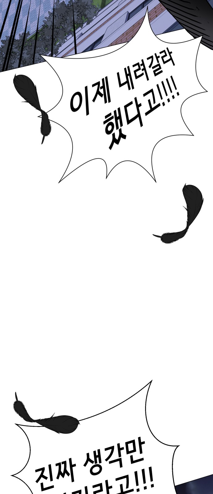251 페이지